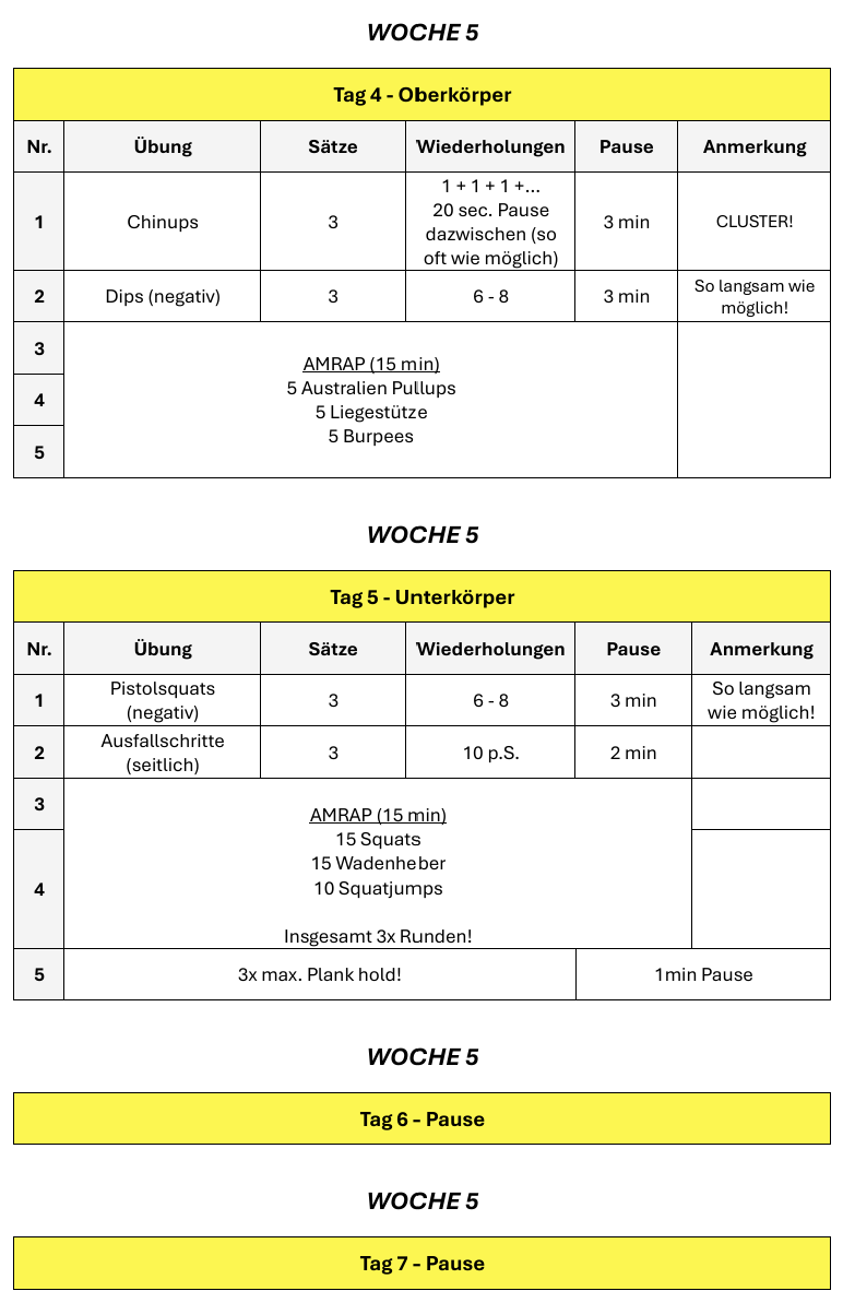 Calisthenics Guide für Anfänger! (AUSSCHLIEßLICH TRAININGSPLAN)
