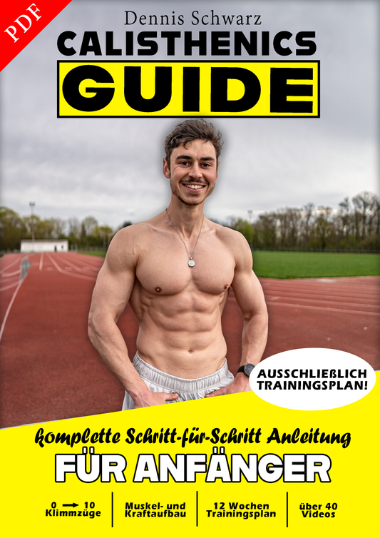 Calisthenics Guide für Anfänger! (AUSSCHLIEßLICH TRAININGSPLAN)